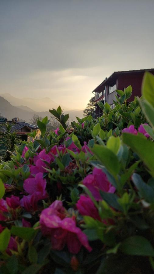 Homestay Casa Da Vista