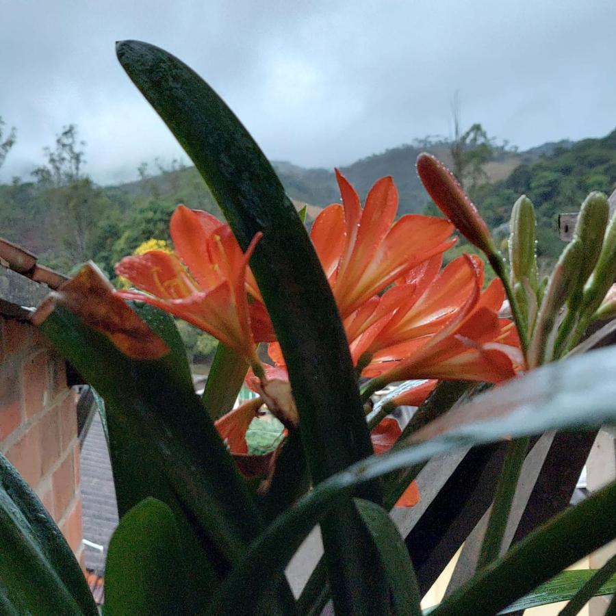 Homestay Casa Da Vista *